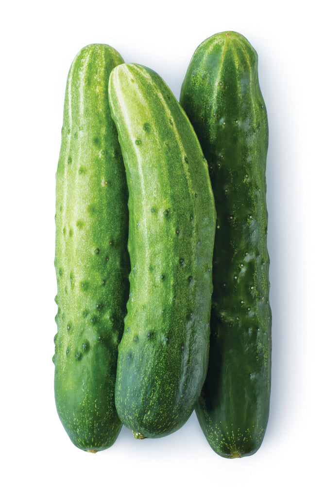CUCUMBER [1 ea]