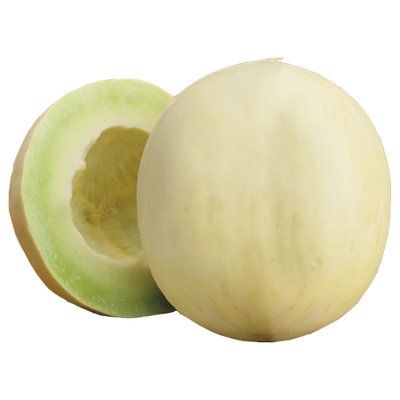 HONEYDEW [1 EACH]