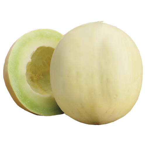 HONEYDEW [1 EACH]