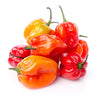 PEPPER HABANERO [0.5 PINT]