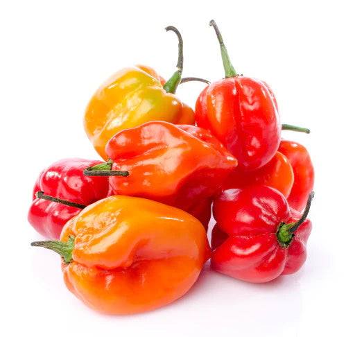 PEPPER HABANERO [0.5 PINT]