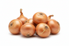 ONION SPANISH