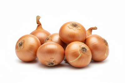 ONION SPANISH