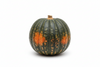 SQUASH ACORN