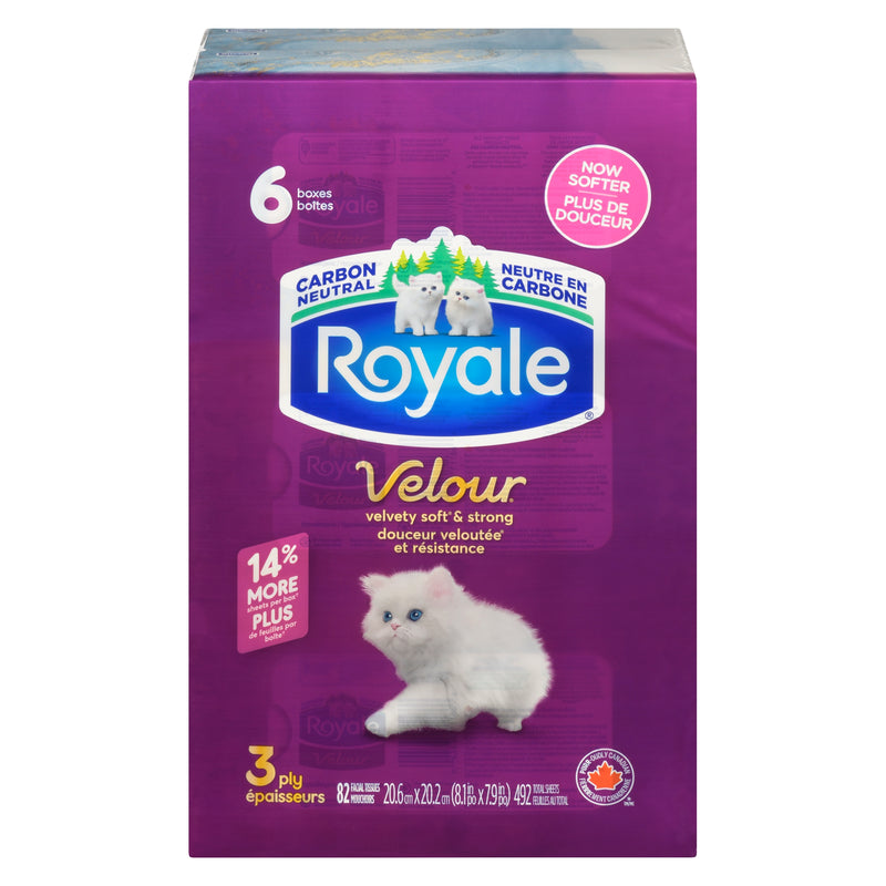 ROYALE VELOUR TISSUE 6x82s [6 ea]