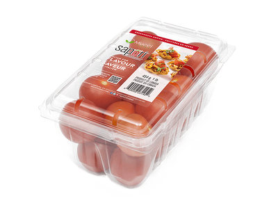 TOMATO CAMPARI 450G [1 pkg]
