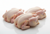 WHOLE CHICKEN ROASTERS