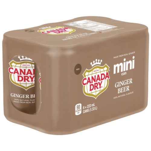 CAN DRY GINGER BEER MINI CANS [6 pkg]