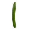 CUCUMBER ENGLISH [1 ea]