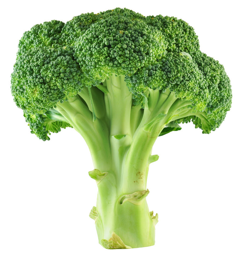 BROCCOLI [1 ea]