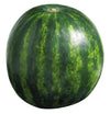 WATERMELON MINI [1 GM]