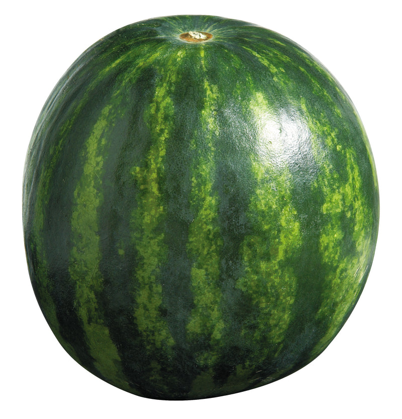WATERMELON MINI [1 GM]