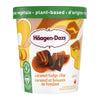 HGN-DZ PLNT BASE CRML FDG CHIP [400 ml]